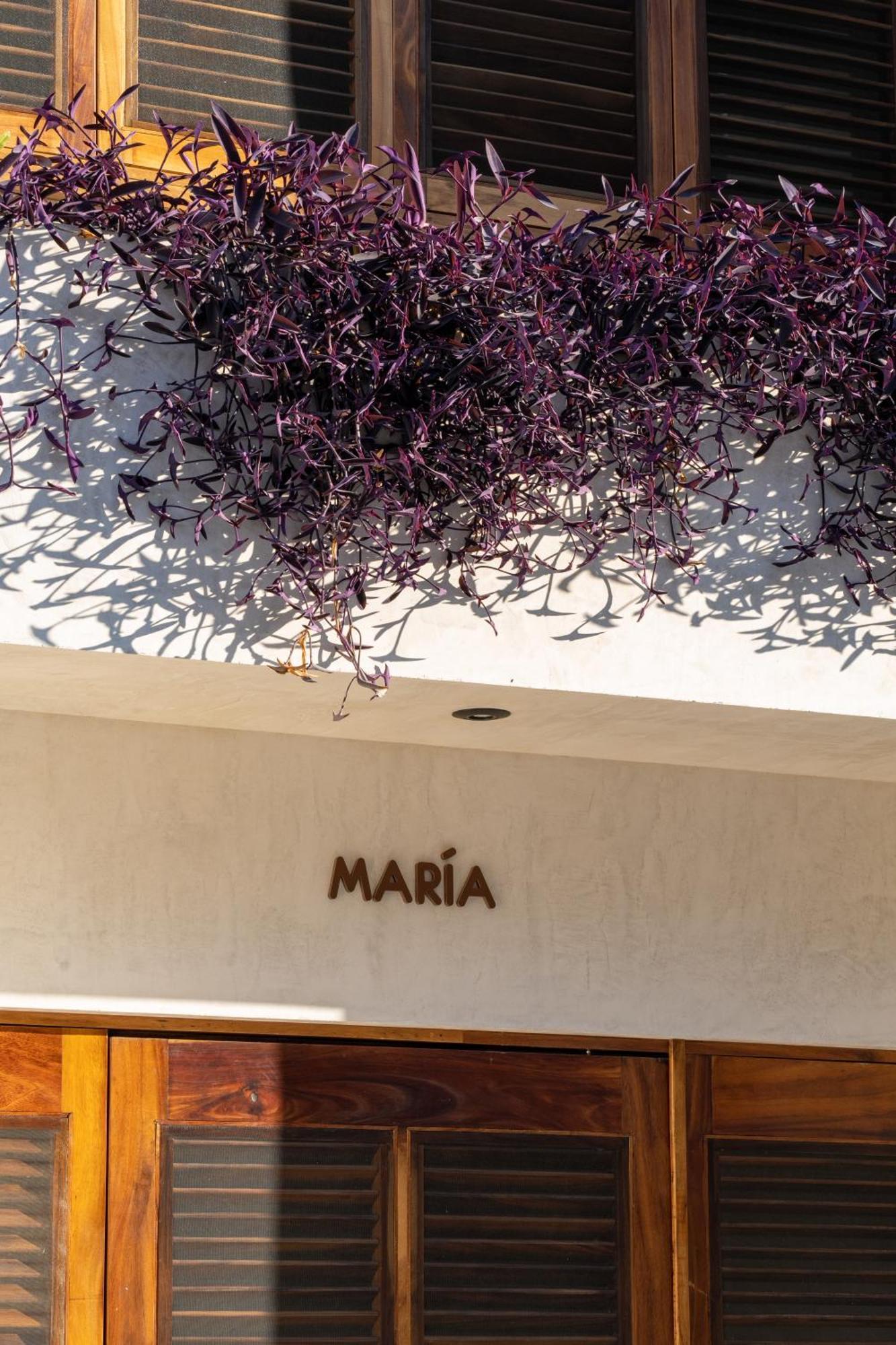 ホテル Casa Mava Brisas de Zicatela エクステリア 写真